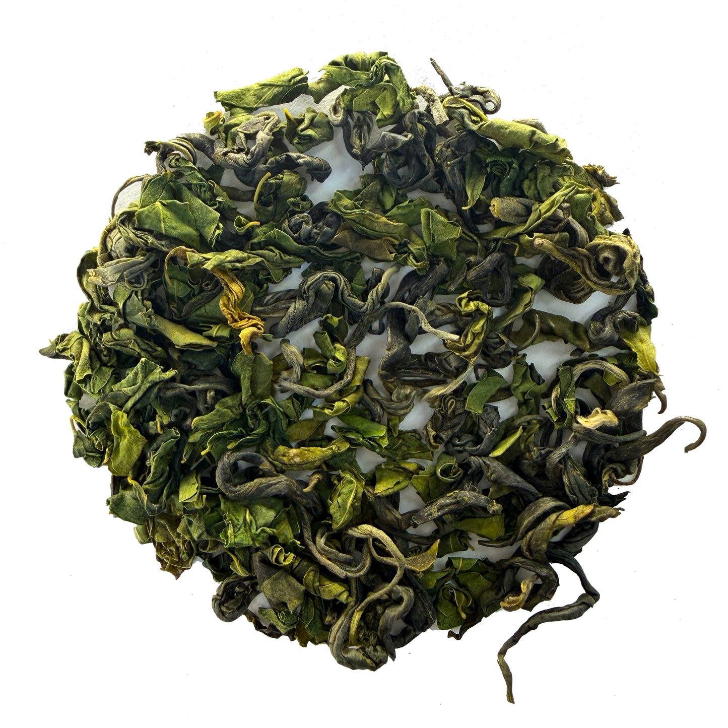 104° Himalayan Moringa Green Tea