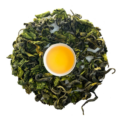 104° Himalayan Moringa Green Tea
