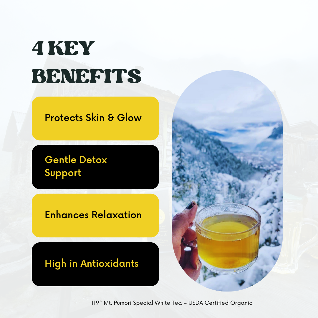 119° Mt. Pumori Special White Tea – USDA Certified Organic