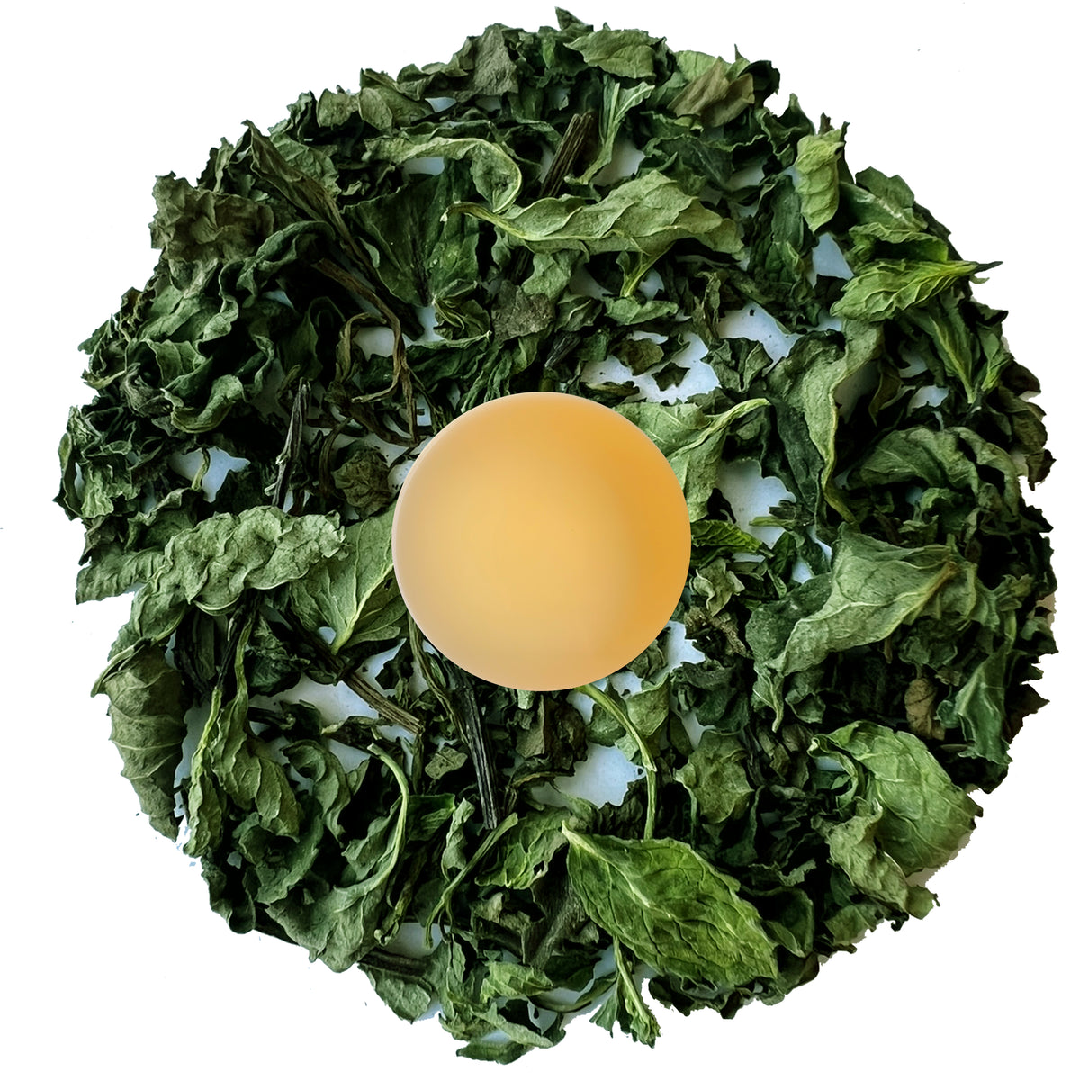 36 Degree Himalayan Spearmint Tea loose leaves and brewed cup