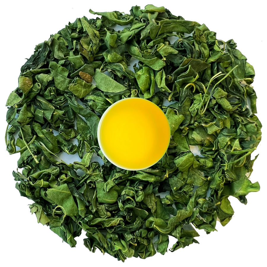 93 Degree Himalayan Moringa Tea with brewed herbal tea