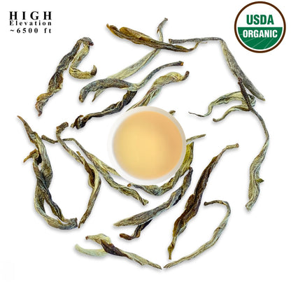 119° Mt. Pumori Special White Tea – USDA Certified Organic