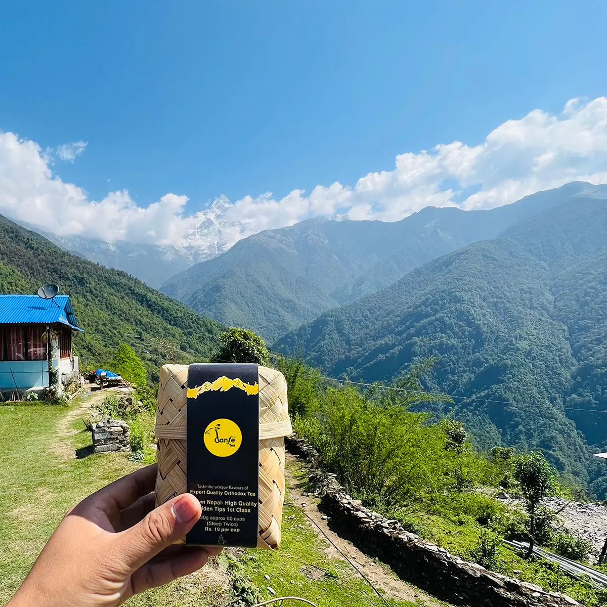 24° Nepali Cardamom Spiced Tea (Masala Chai Tea)