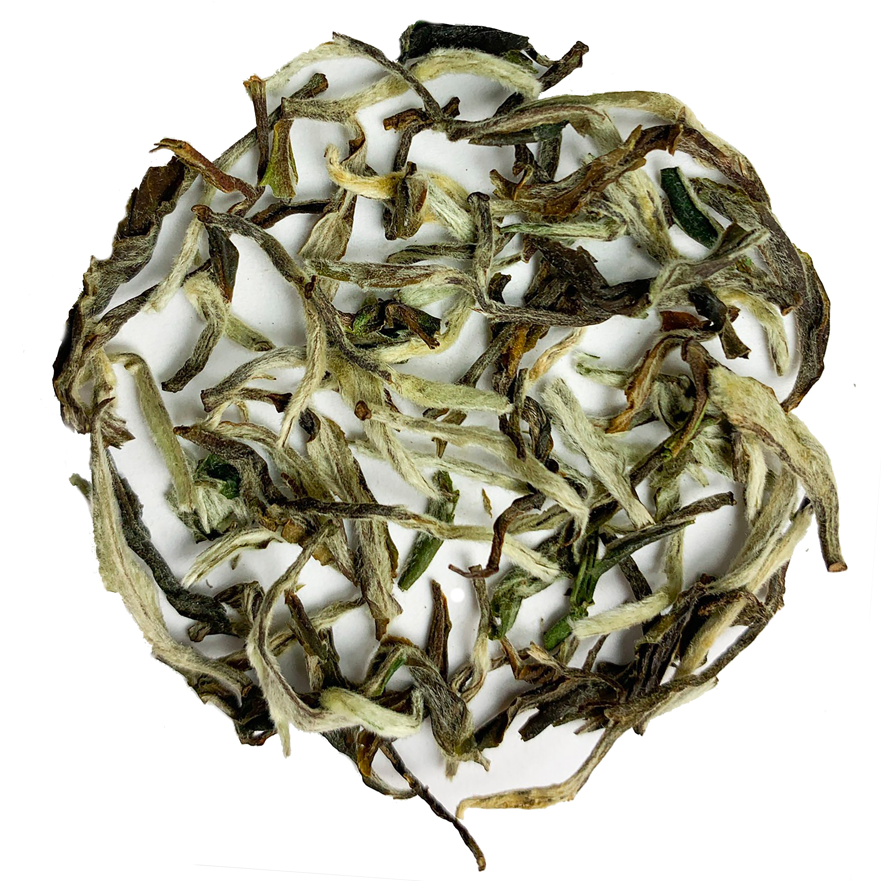 White tea is packed with antioxidants, which makes it an incredibly healthy tea.
