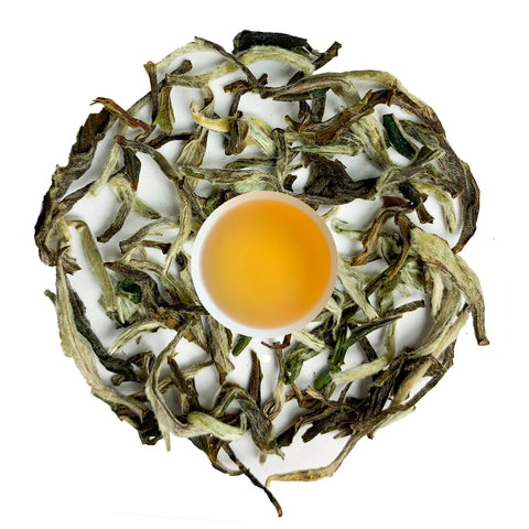 19° Nepal Special White Tea